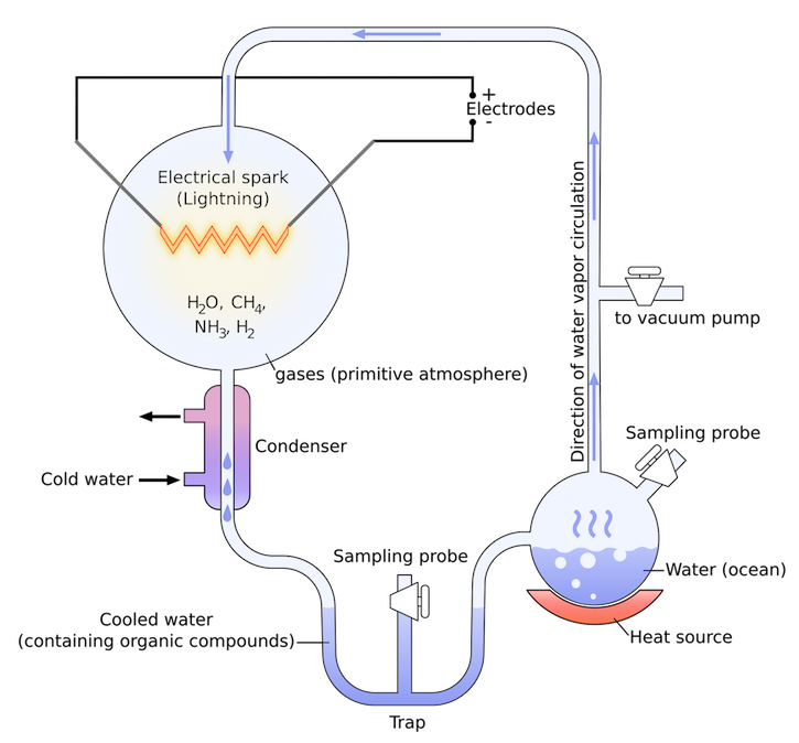 The apparatus used for the Miller-Urey experiment Wikimedia