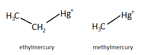 Ethylmercury and methylmercury Rowena Fletcher-Wood