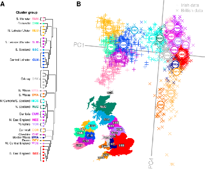 Genes mirror geography in the British Isles Ross P. Byrne et al. via Wikipedia Commons. Doi: 10.1371/journal.pgen.1007152