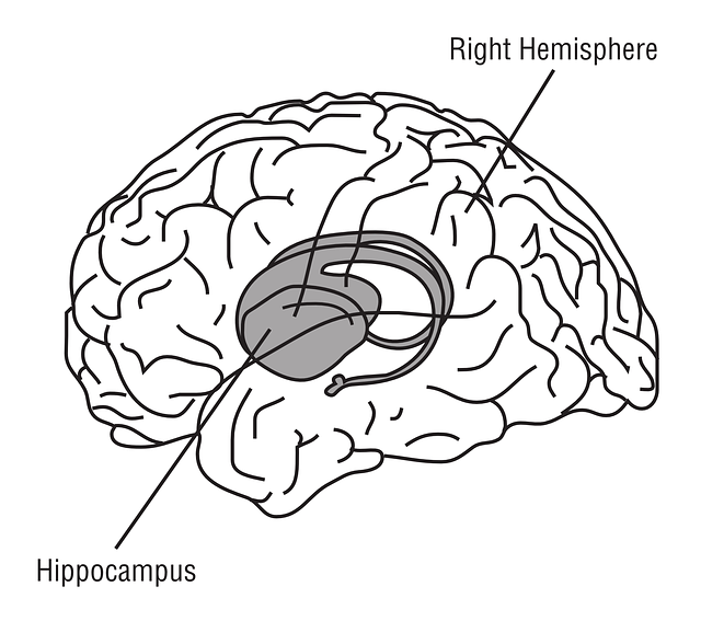 Openclipartvectors (CC0 Public Domain via Pixabay)