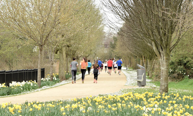 Running is good for your body and brain. © Copyright Albert Bridge