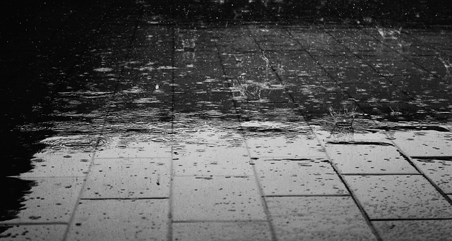 Rain Giuliamar (CC0 Public Domain via Pixabay)