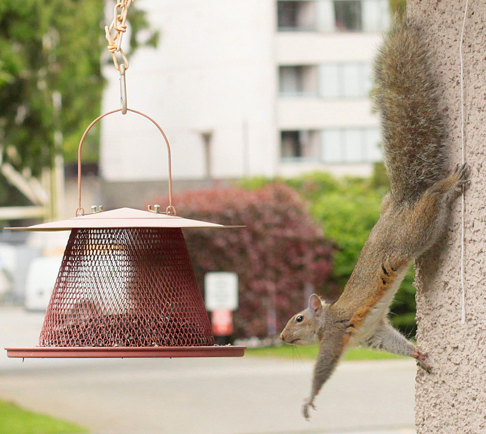 Waferboard - taking a swing at it Uploaded by Snowmanradio, CC BY 2.0 via Wikipedia Commons