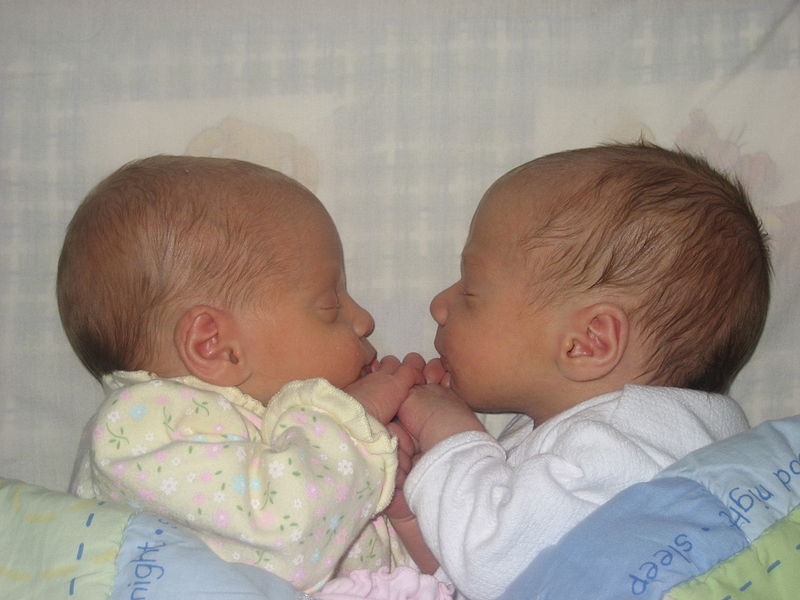 Twins MultipleParent via Wikipedia Commons.
