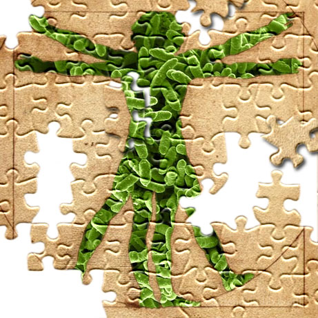 The Vitruvian Puzzle © Gavin Hubbard for TWDK